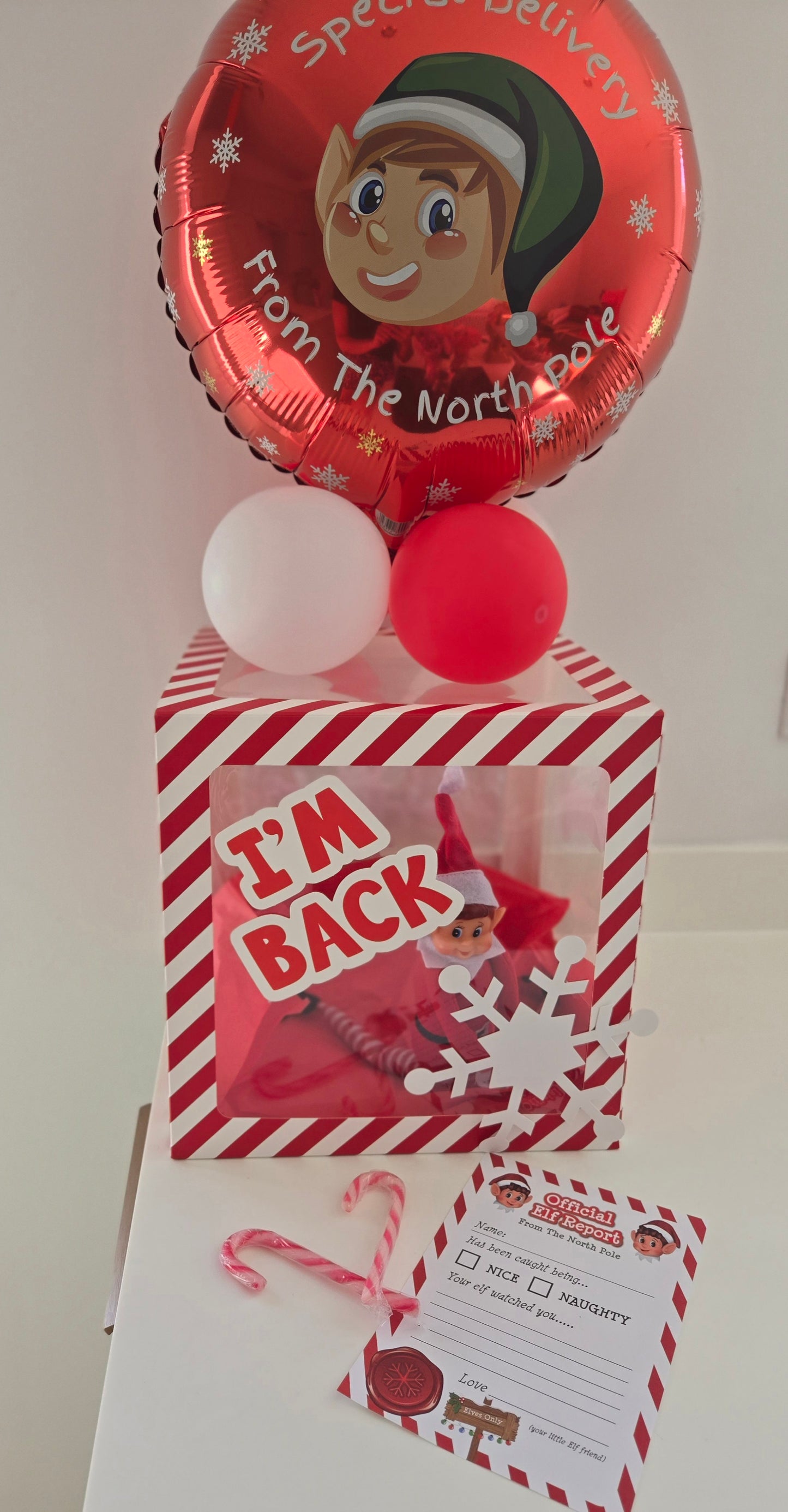 Elf On The Shelf Arrival Set With Balloon Box And Elf Report