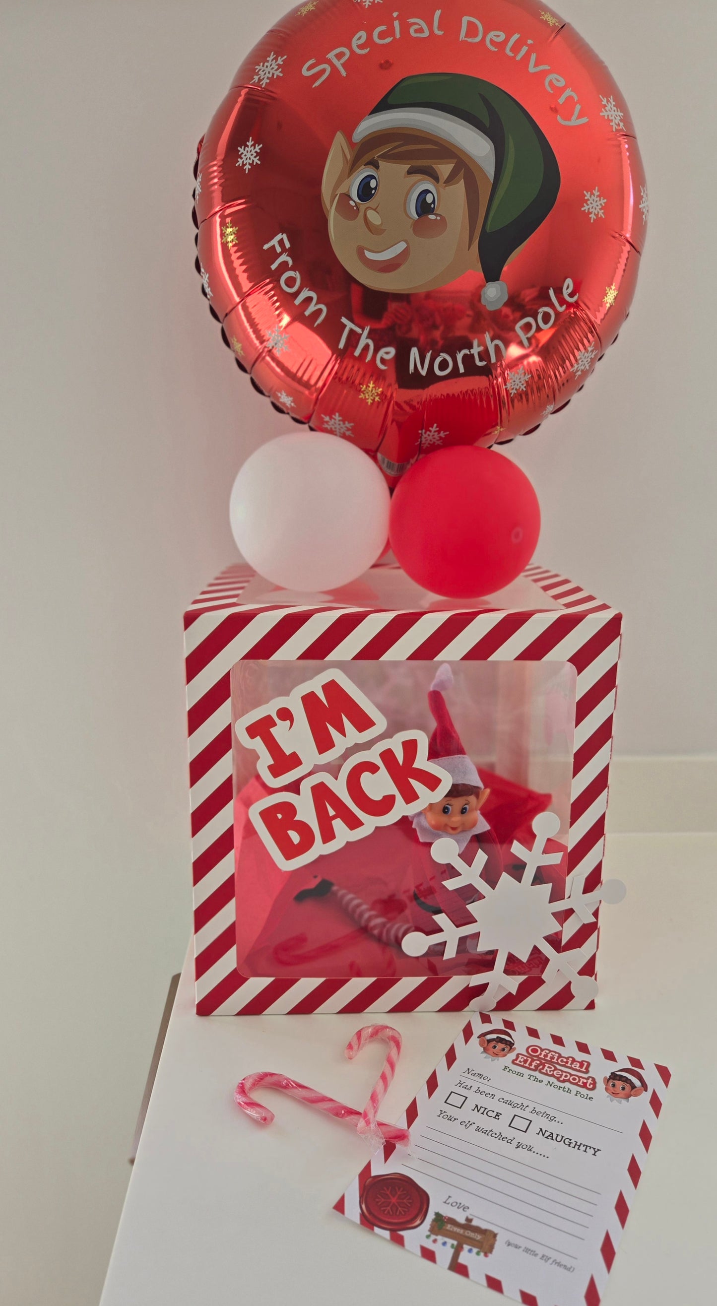 Elf On The Shelf Arrival Set With Balloon Box And Elf Report