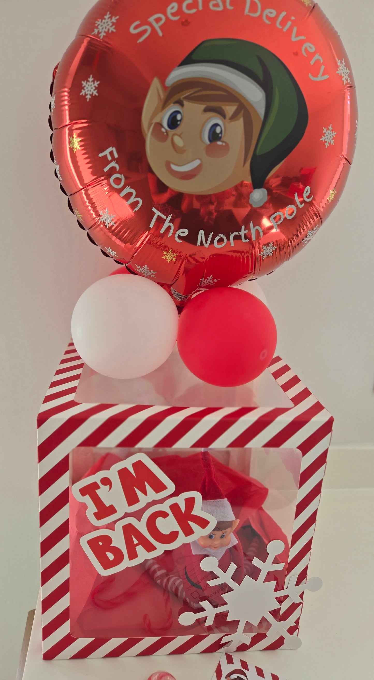 Elf On The Shelf Arrival Set With Balloon Box And Elf Report